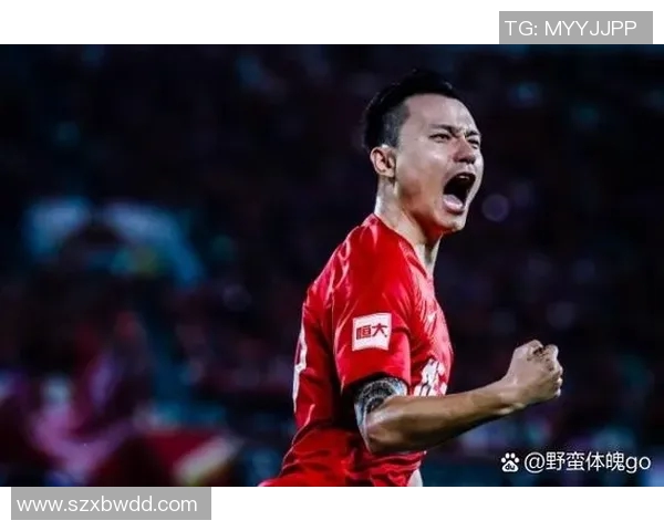 足球明星的魅力与成就如何在绿茵场上闪耀光芒