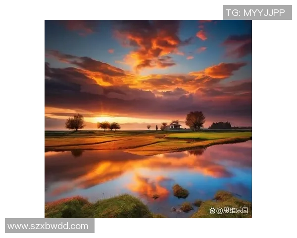 足球明星高清壁纸尽在掌握尽情欣赏各大球星风采与精彩瞬间的完美选择