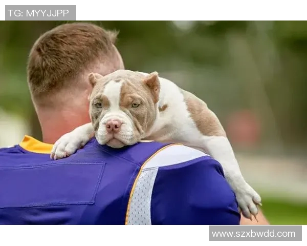 狗与足球明星的奇妙关系探秘与他们的共同魅力分析