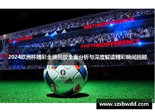 2024欧洲杯精彩全场回放全面分析与深度解读精彩瞬间回顾